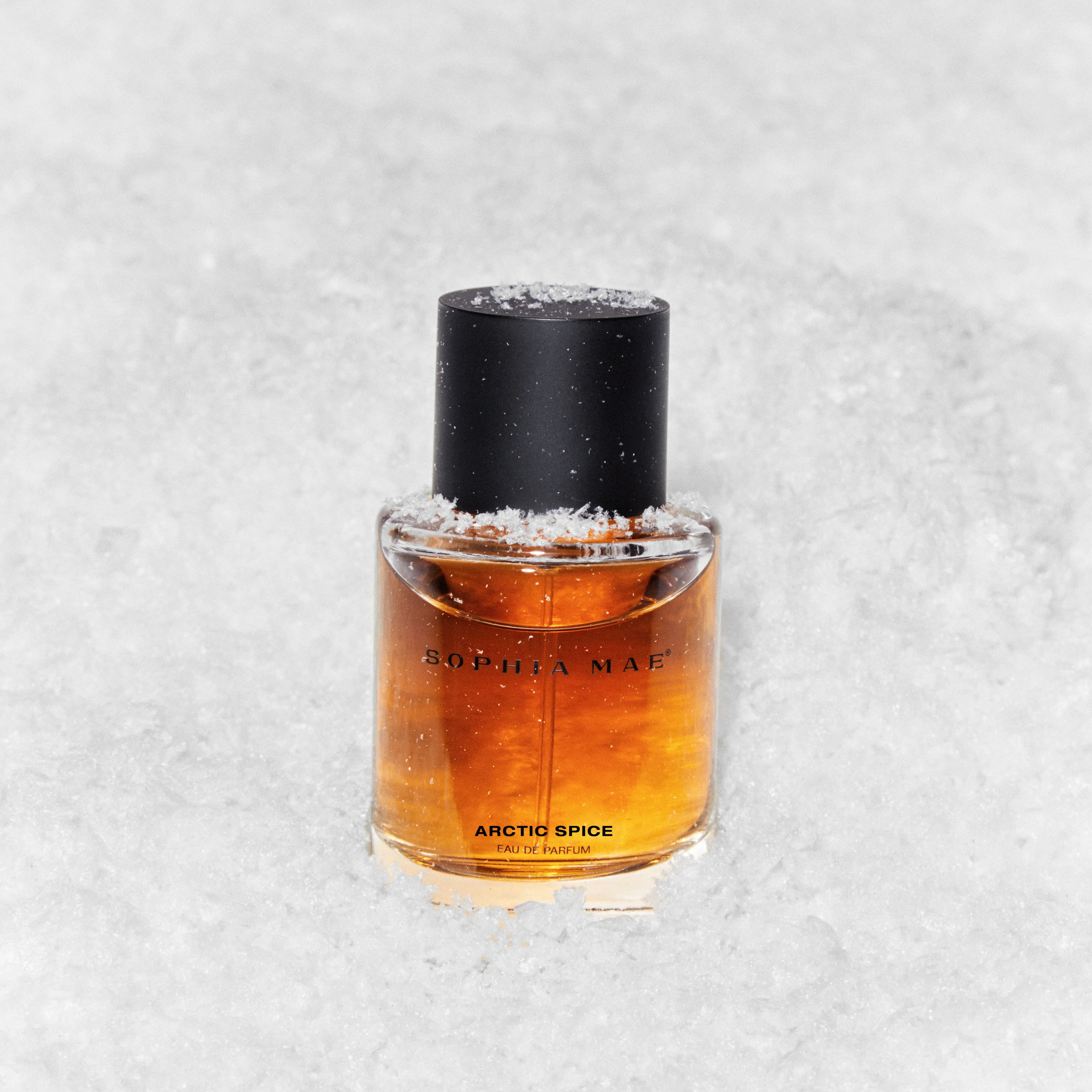 ARCTIC SPICE - Image 3
