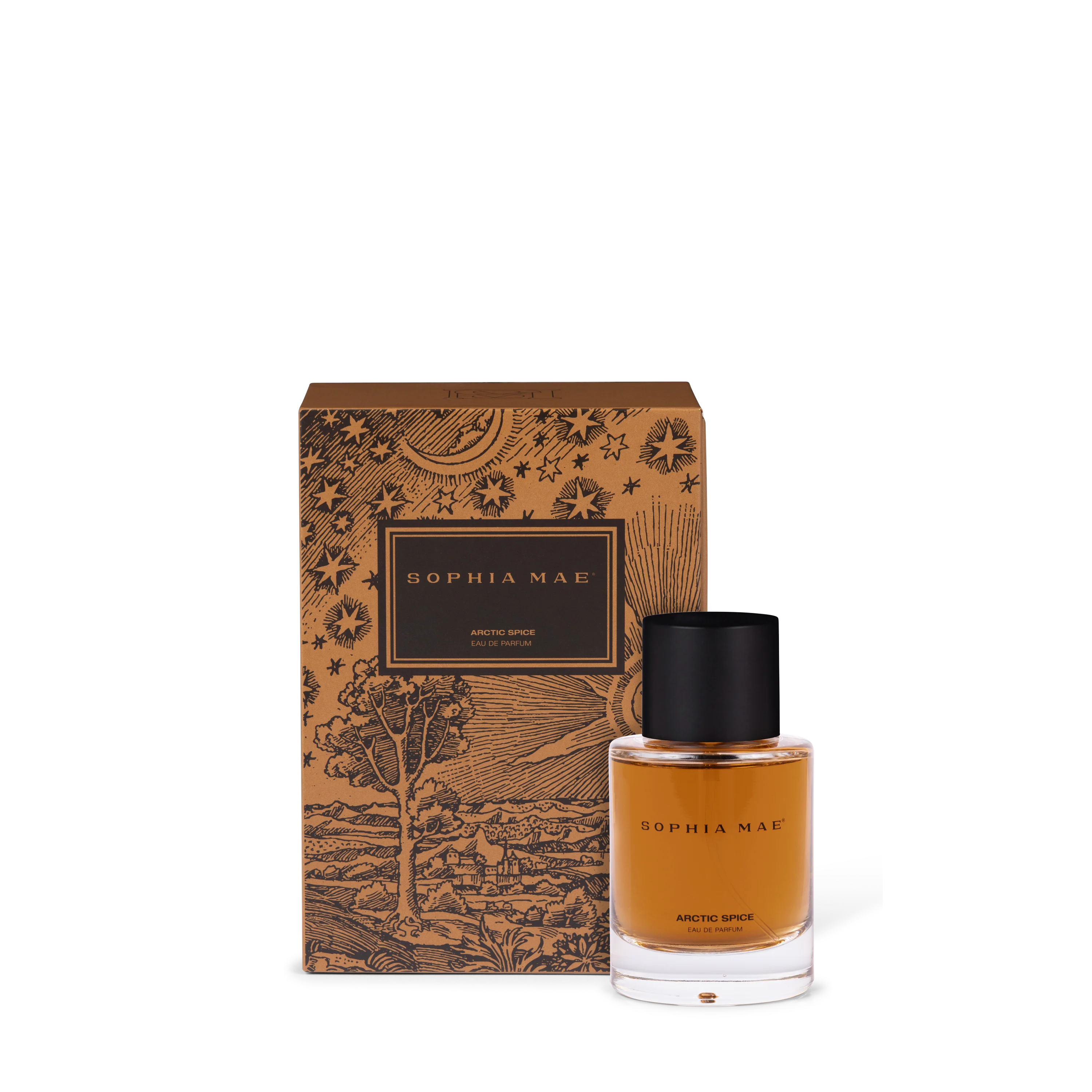 ARCTIC SPICE - Image 4