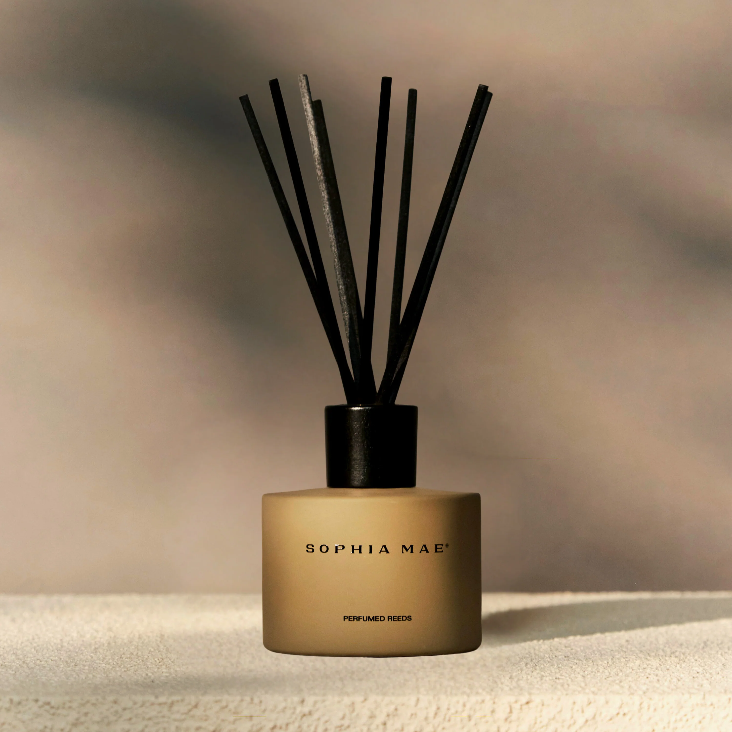 HESTIA PERFUMED REEDS - Image 2