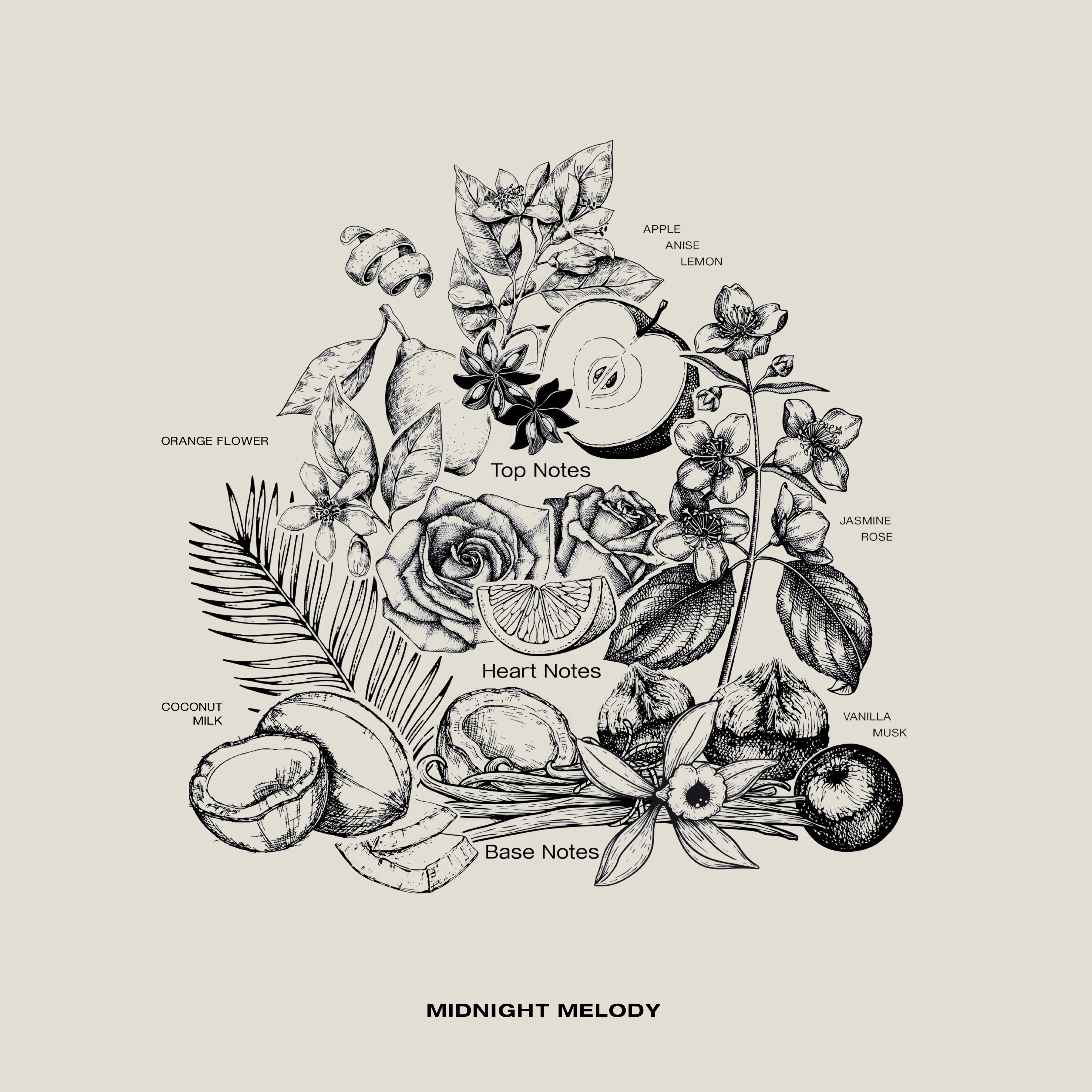 MIDNIGHT MELODY - Image 3