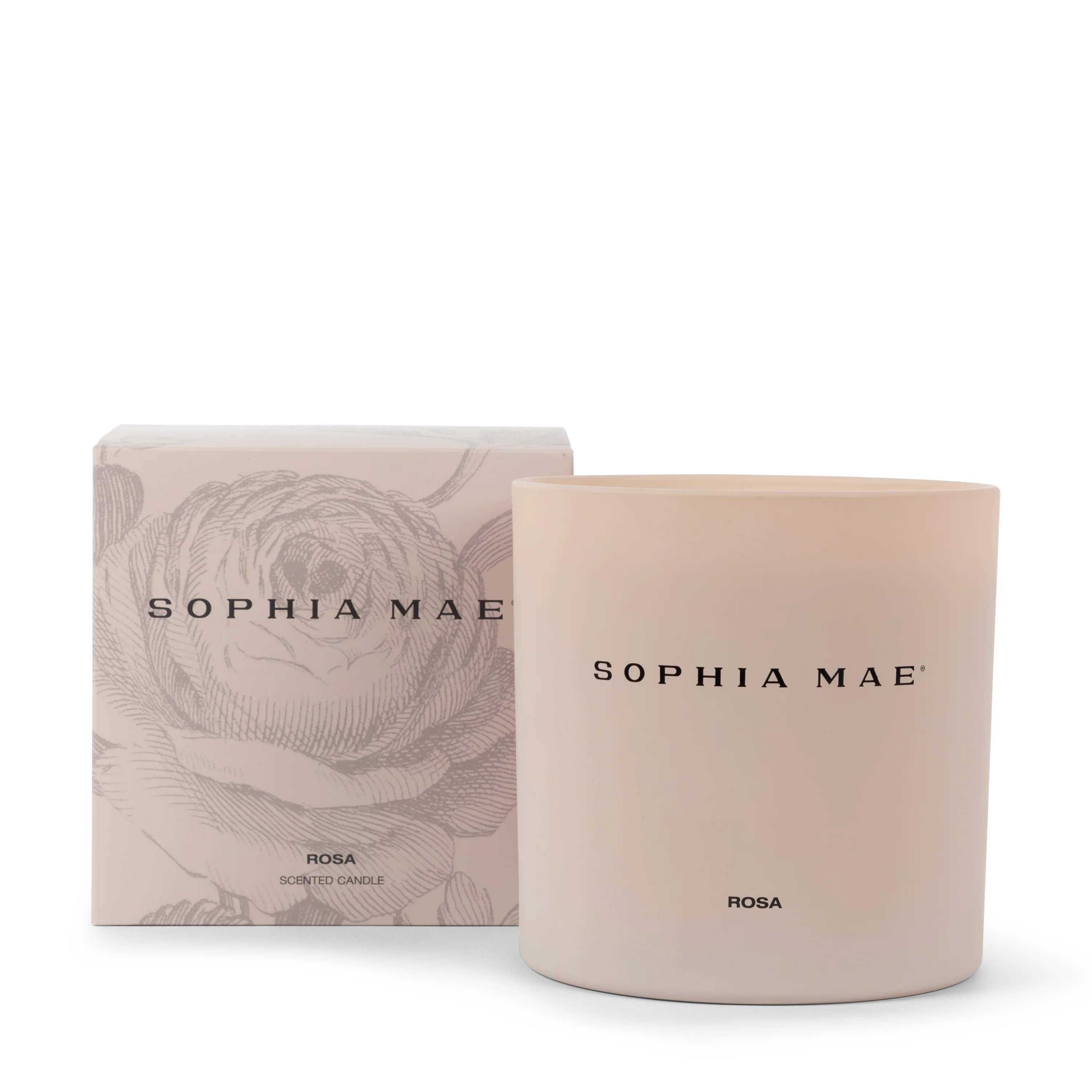ROSA - Image 3