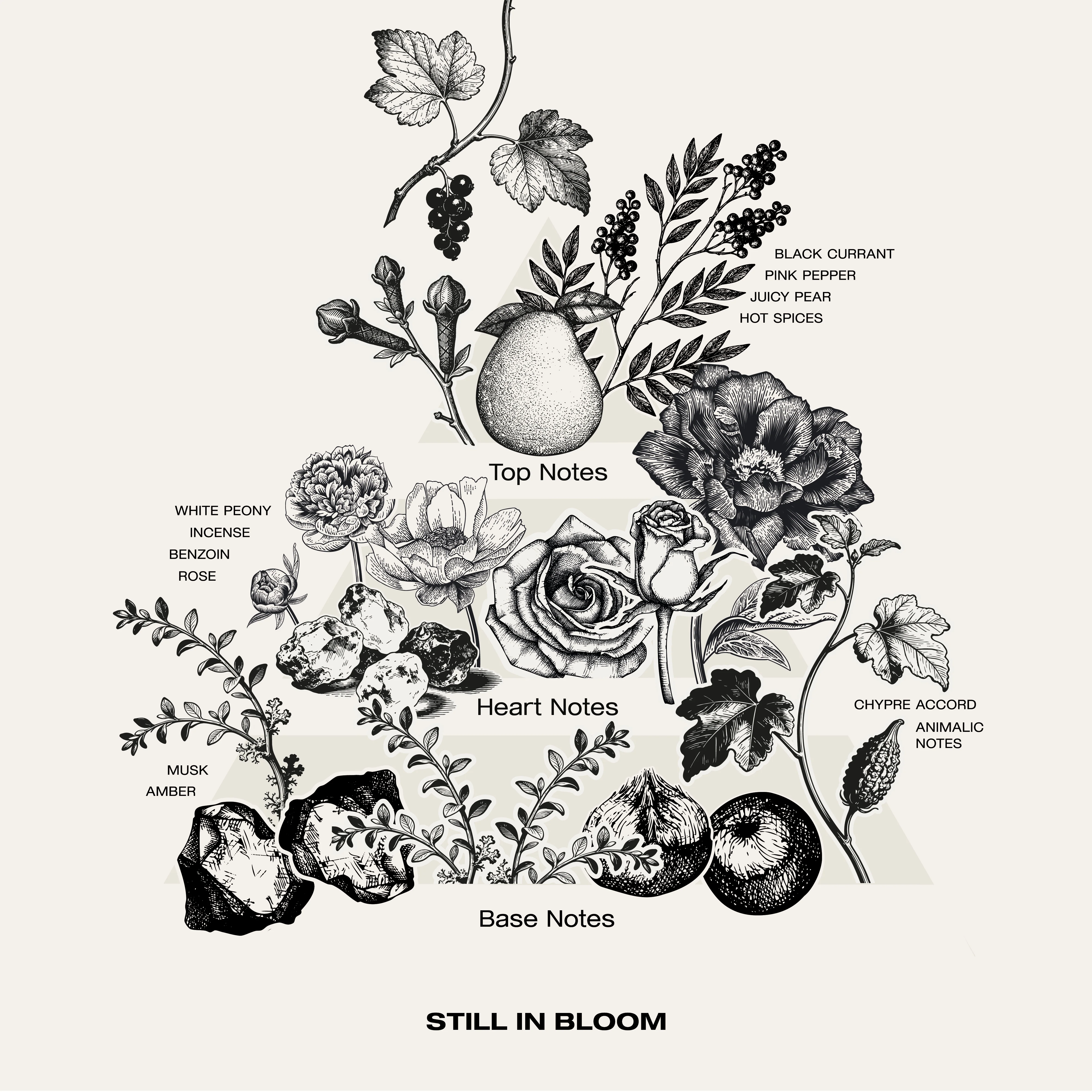 STILL IN BLOOM EAU DE PARFUM SAMPLE - Image 4