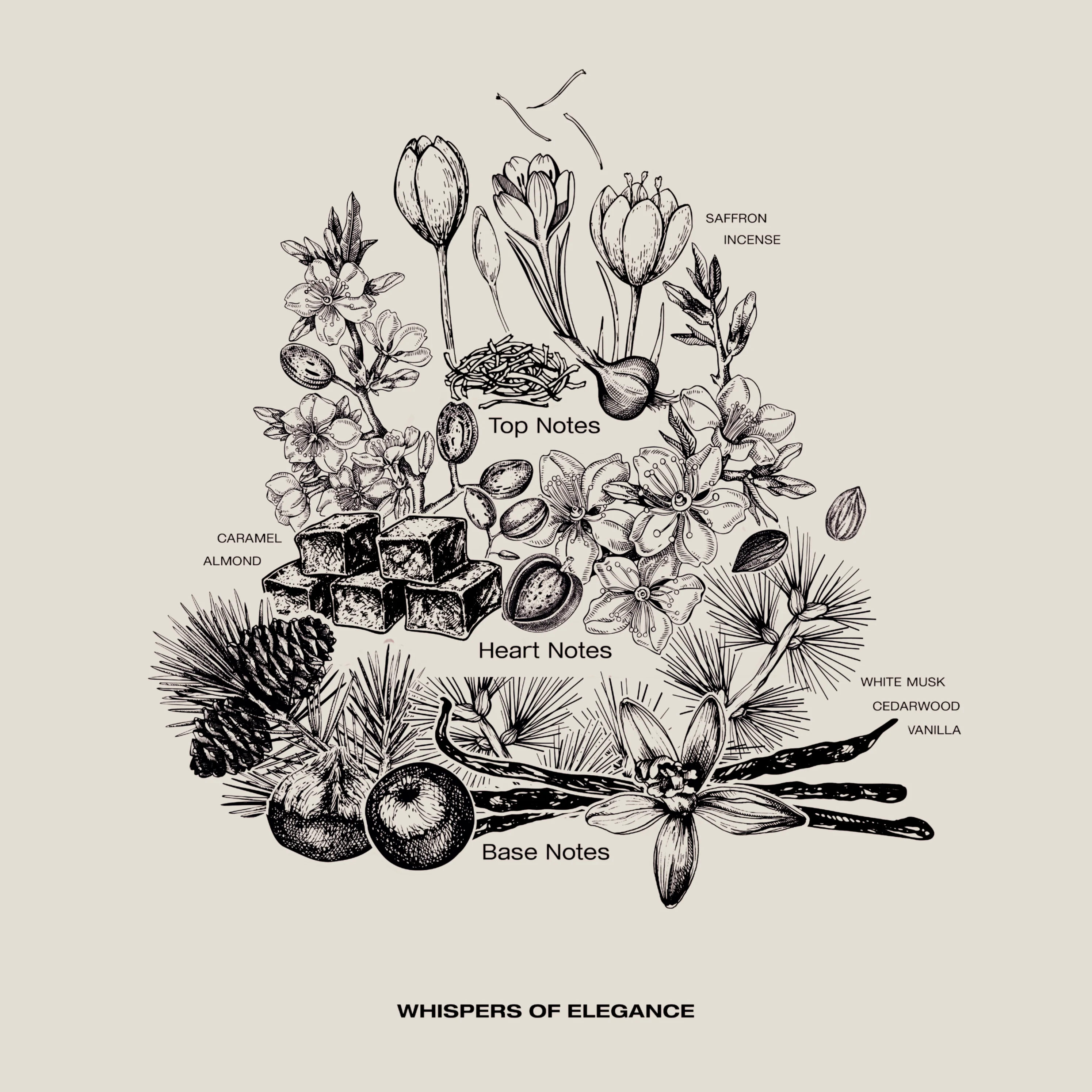 WHISPERS OF ELEGANCE - Image 5